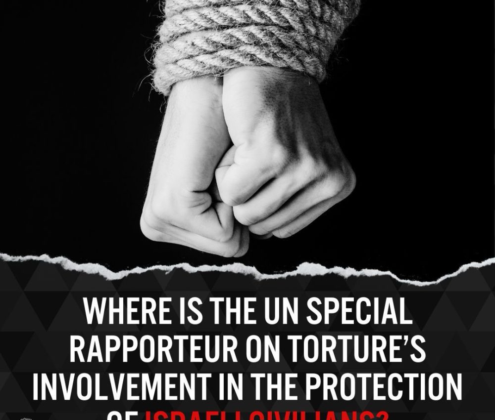 Image -Special Rapporteur on Torture